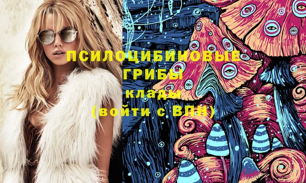 мяу мяу мука Михайлов