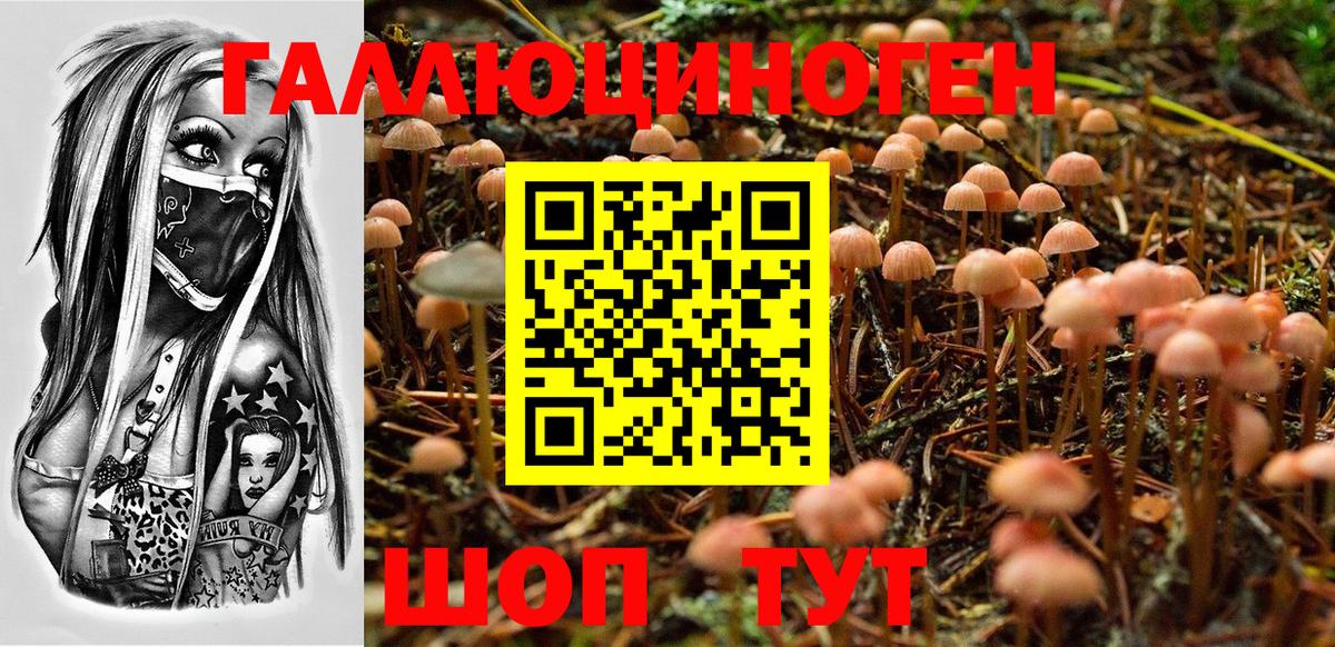 Галлюциногенные грибы GOLDEN TEACHER Нефтекамск