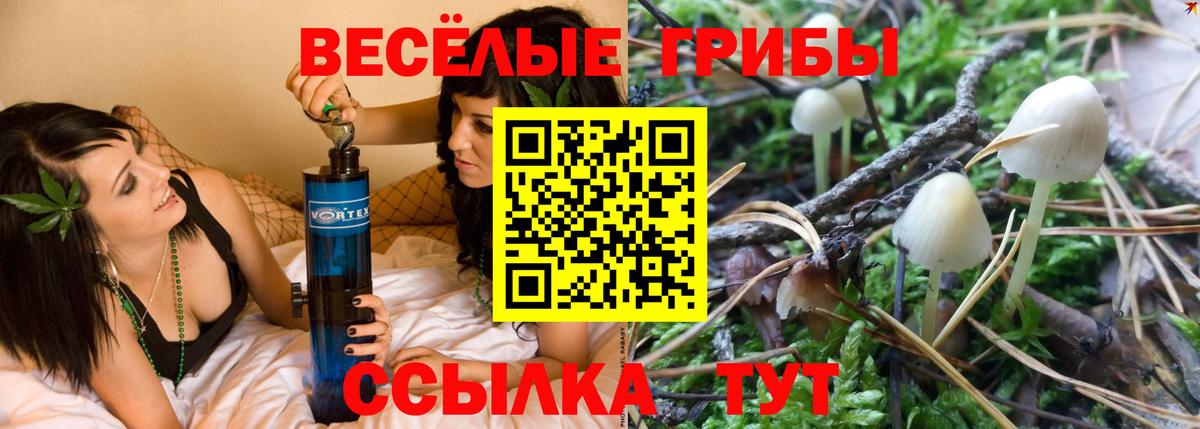 Галлюциногенные грибы Magic Shrooms  Псилоцибиновые грибы мицелий  Нефтекамск  Вход с VPN 